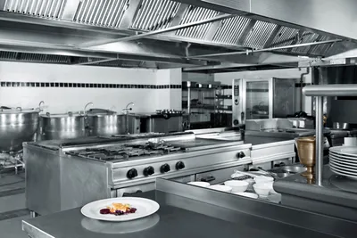 Cocina industrial impecable después de una limpieza profunda.